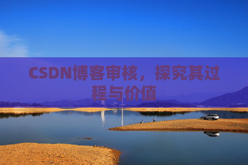 CSDN博客审核，探究其过程与价值